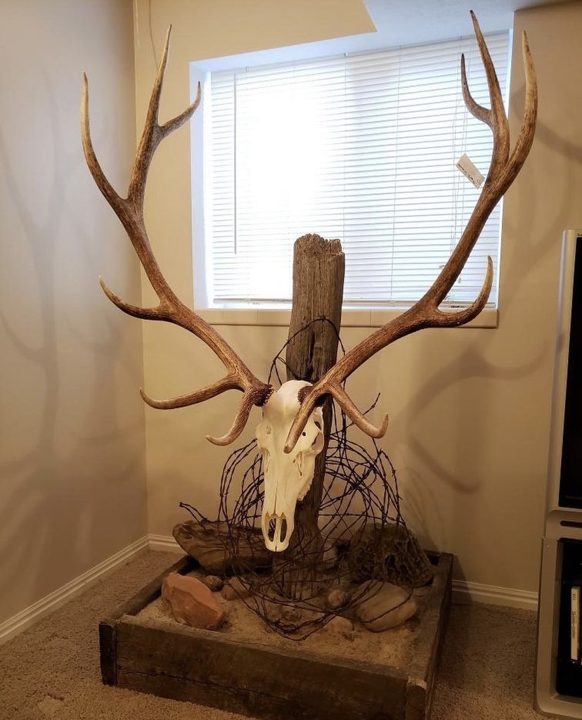 Elk